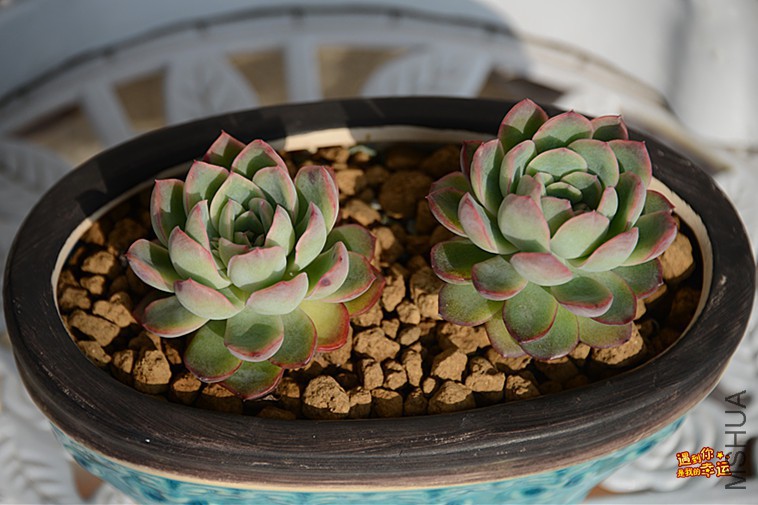 ��Ƭ 039_����.jpg