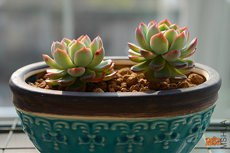 ��Ƭ 041_����.jpg