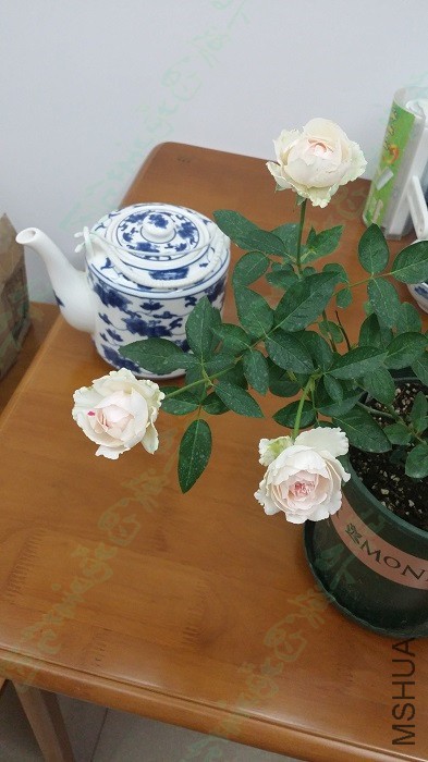 20151017��ܽǮ������3.jpg