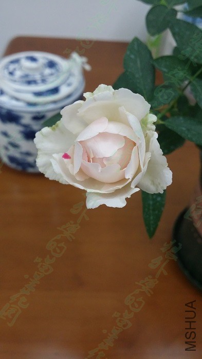 20151017��ܽǮ������1.jpg