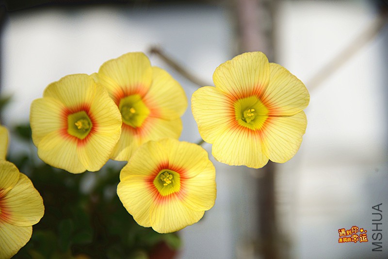 ��Ƭ 089_����.jpg