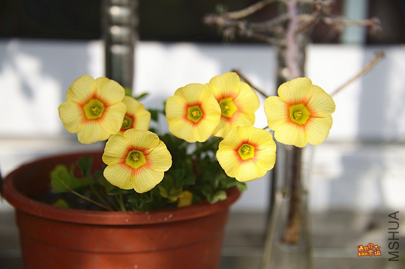 ��Ƭ 086_����.jpg