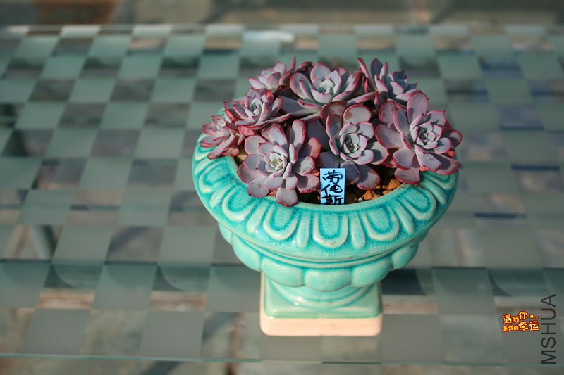 ��Ƭ 142_����.jpg