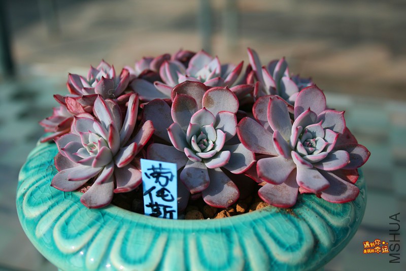 ��Ƭ 144_����.jpg