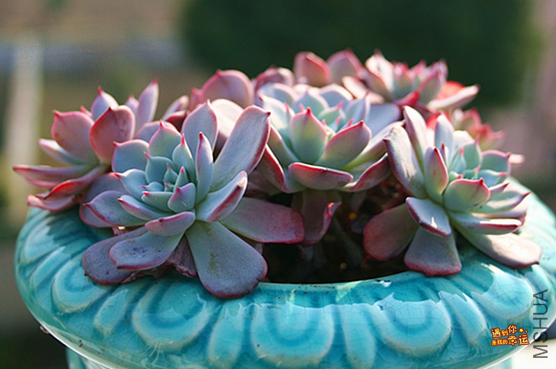 ��Ƭ 145_����.jpg