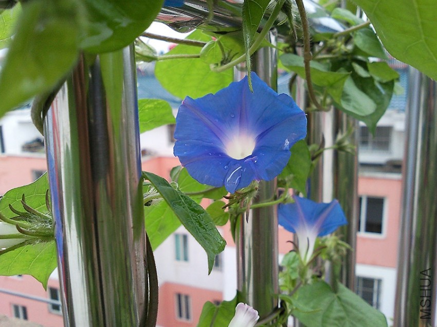 SNC00260.jpg
