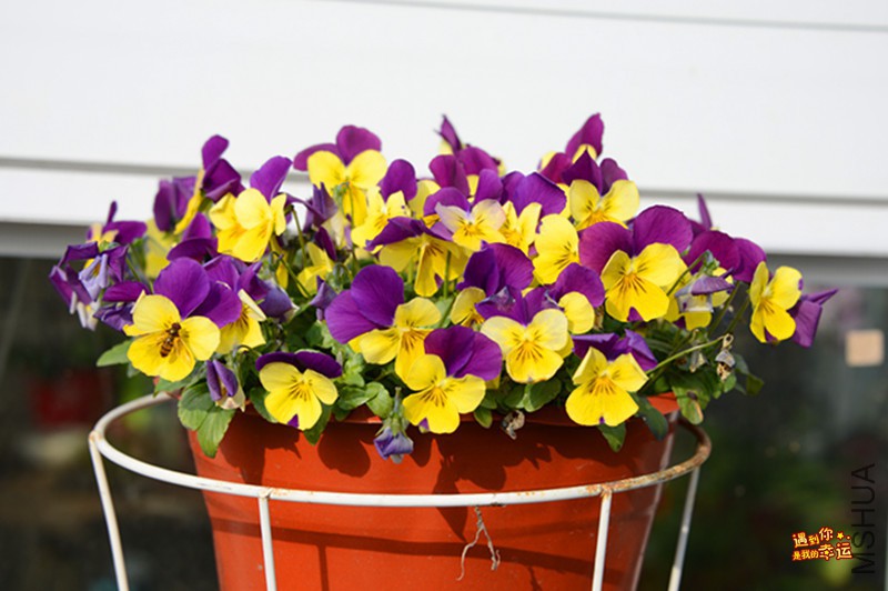 ��Ƭ 095_����.jpg