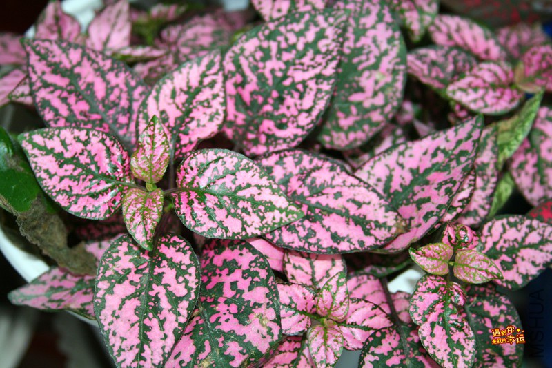 ��Ƭ 075_����.jpg