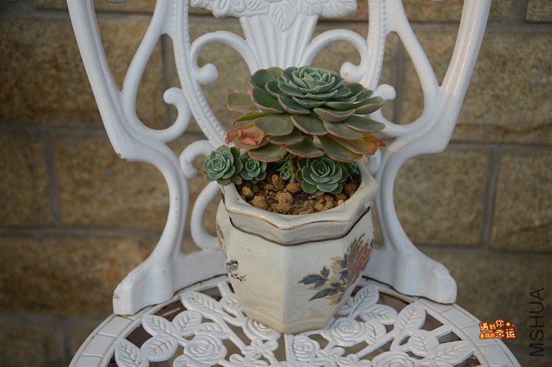 ��Ƭ 636_����.jpg