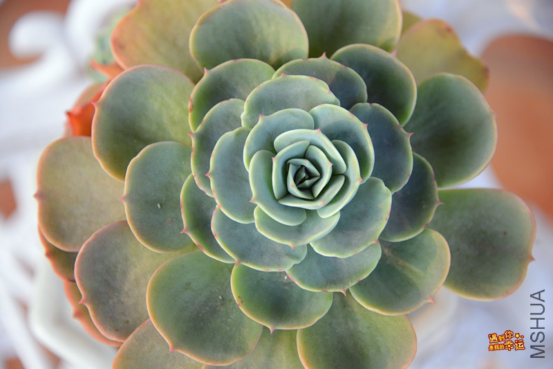 ��Ƭ 639_����.jpg