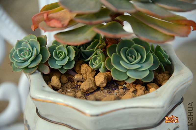 ��Ƭ 640_����.jpg