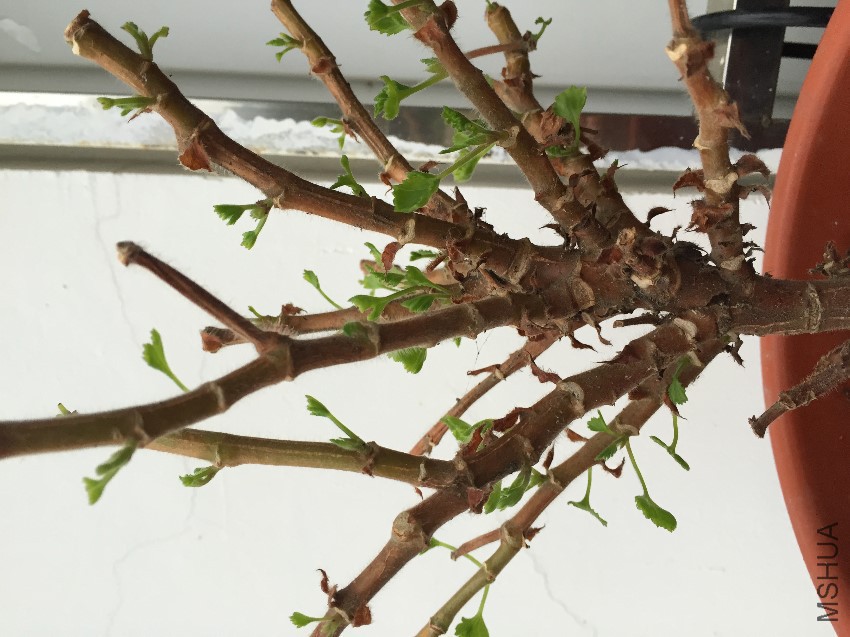 �����ҾͰ���������������