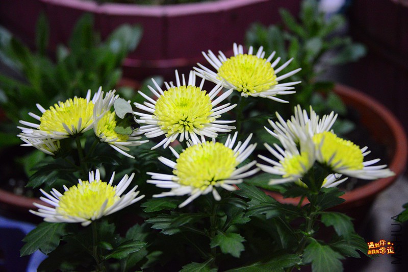 ��Ƭ 002_����.jpg