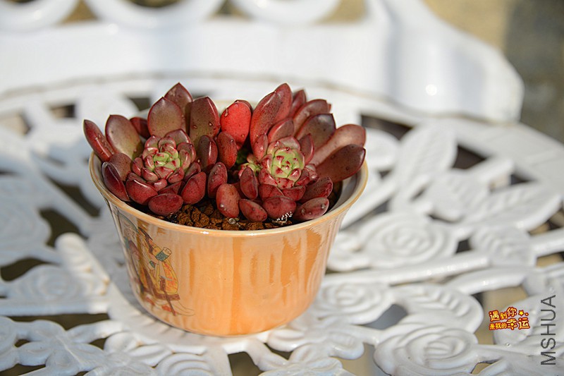 ��Ƭ 020_����.jpg