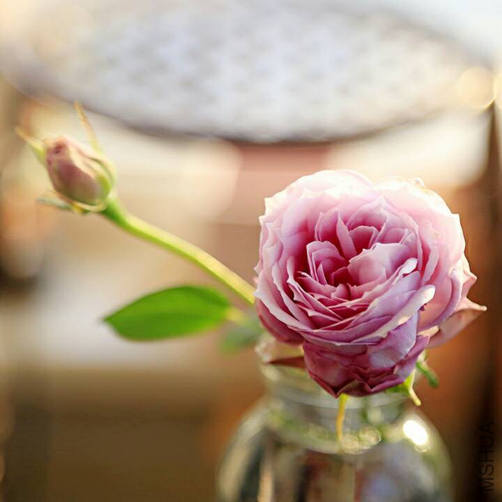 085708wk5d245t58215baq.jpg