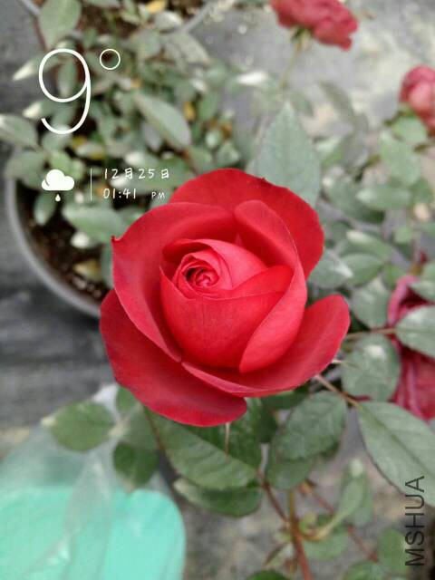 091702wp1vpopl5hd54eeh.jpg