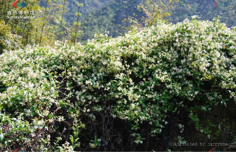 2015-12-02 14 51 04.jpg