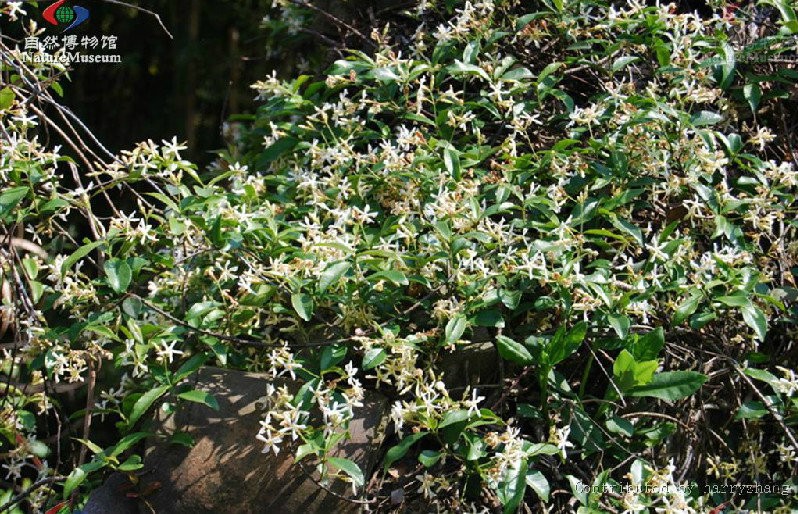 2015-12-02 14 50 04.jpg