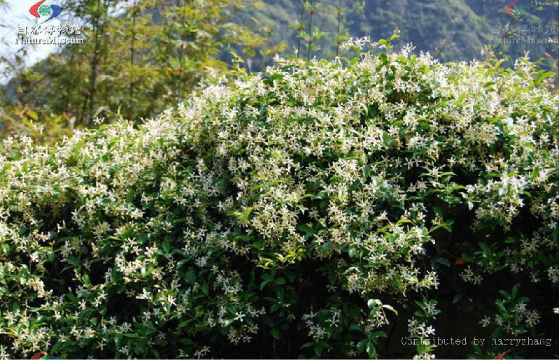 2015-12-02 14 49 06.jpg