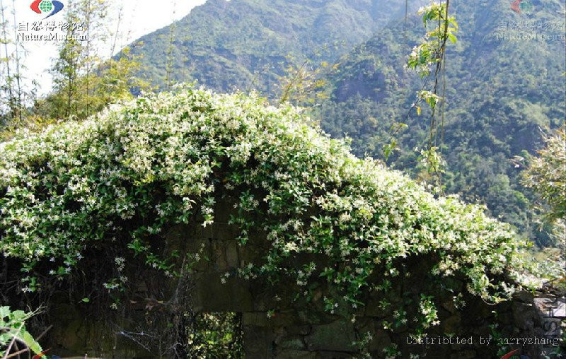 2015-12-02 14 48 16.jpg