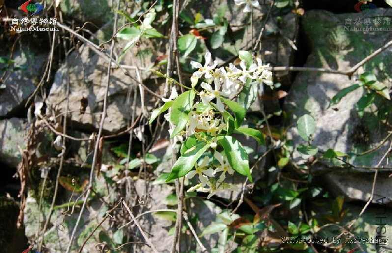 2015-12-02 14 47 25.jpg