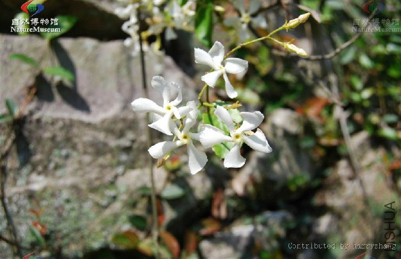 2015-12-02 14 46 55.jpg