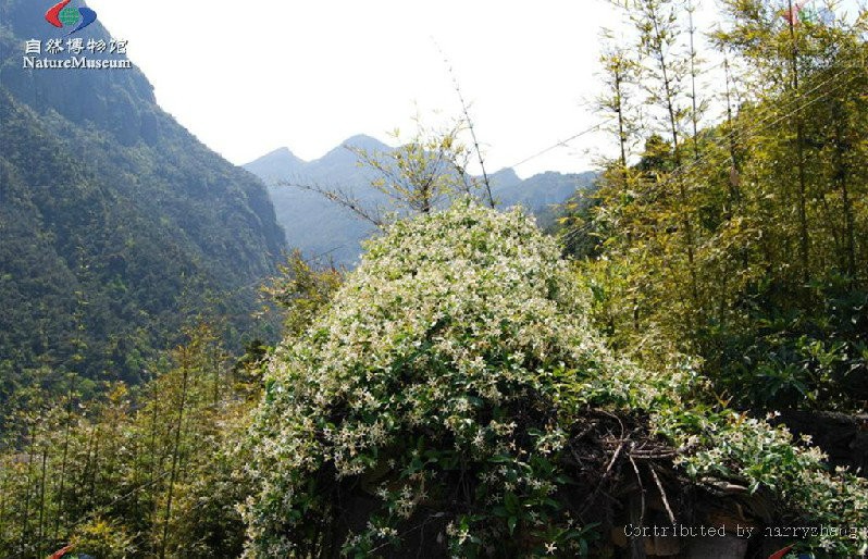 2015-12-02 14 51 24.jpg