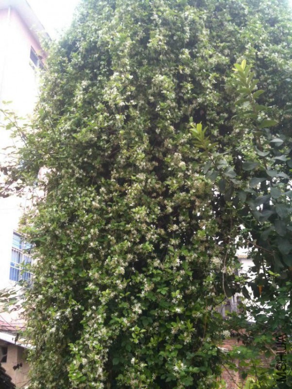 2014-04-03 083024.jpg