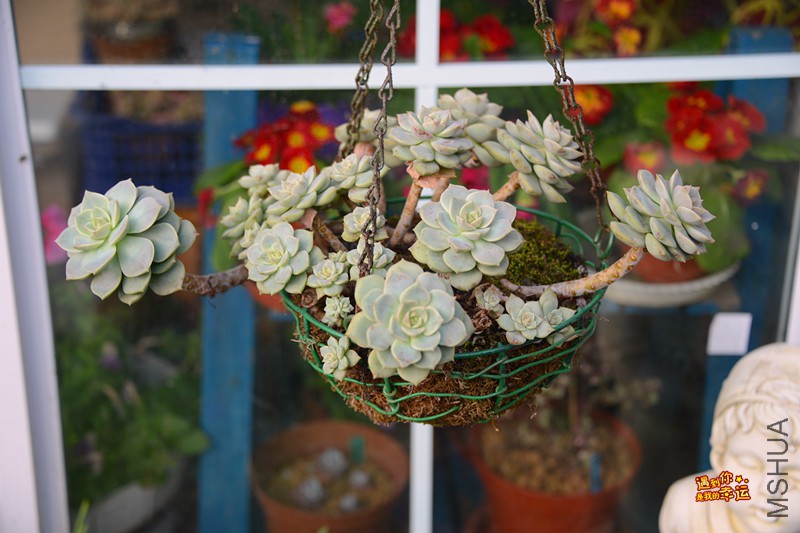 ��Ƭ 156_����.jpg