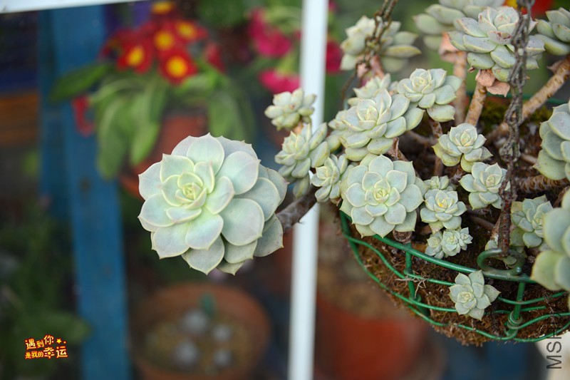 ��Ƭ 158_����.jpg