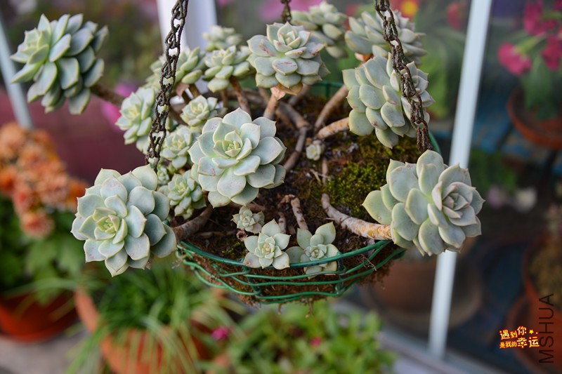 ��Ƭ 159_����.jpg