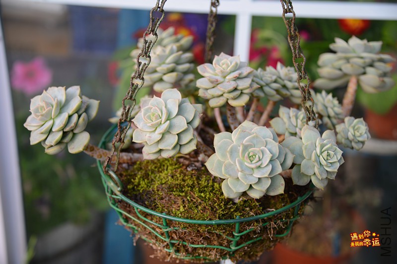 ��Ƭ 161_����.jpg