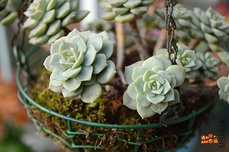 ��Ƭ 165_����.jpg