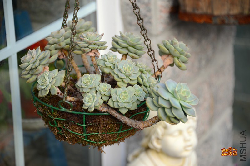 ��Ƭ 166_����.jpg