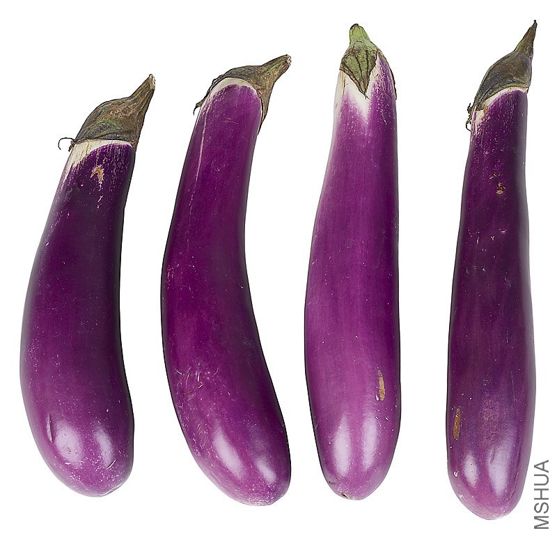 Eggplant_23279307.jpg