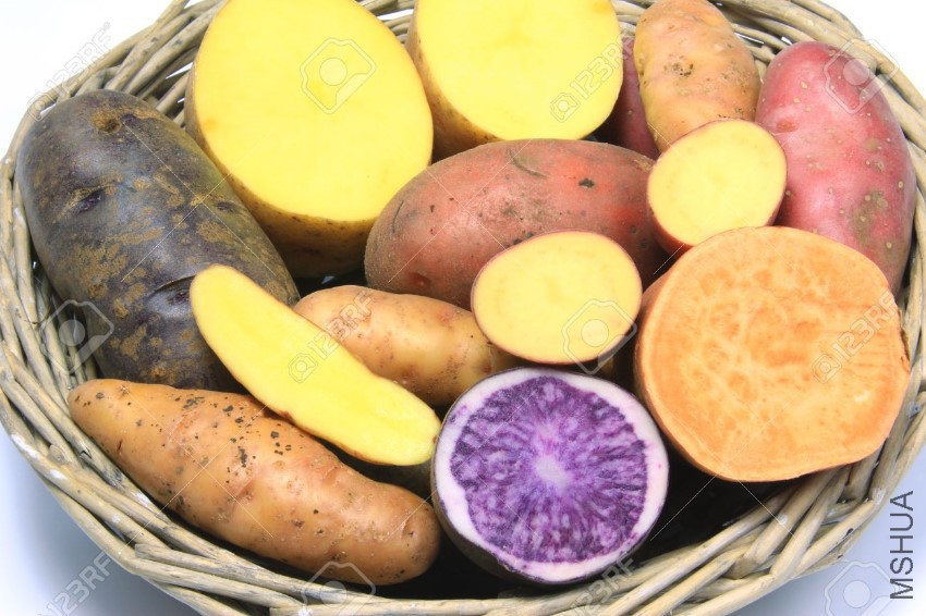 17004761-Many-different-varieties-of-potatoes-some-halved-potato-Solanum-tuberos.jpg