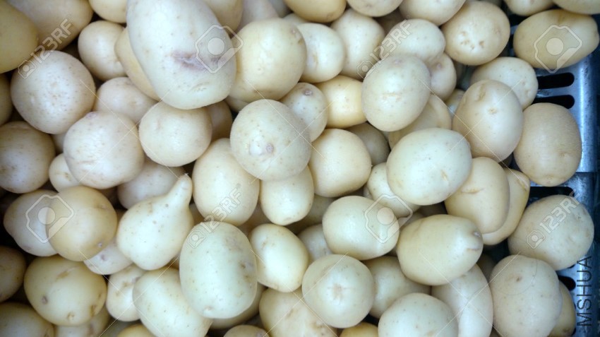38738307-Solanum-tuberosum-white-potato-cultivar-with-medium-sized-tubers-white-.jpg