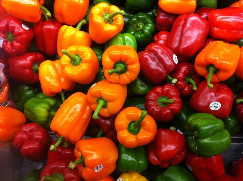 Harvested-Capsicum.jpg