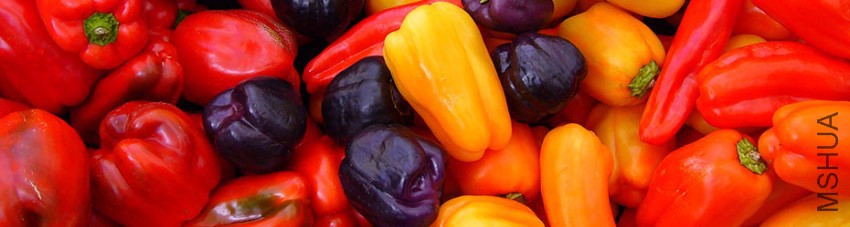 capsicumBanner.jpg