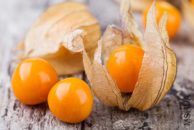 physalis_jpg_638x0_q80_crop-smart.jpg