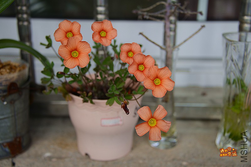 ��Ƭ 073_����.jpg