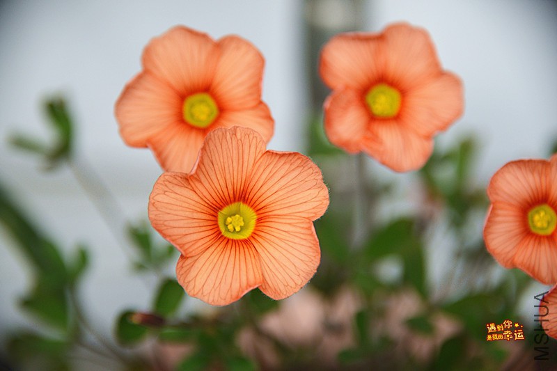 ��Ƭ 074_����.jpg