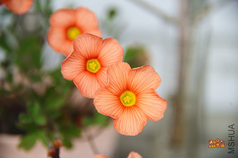 ��Ƭ 075_����.jpg