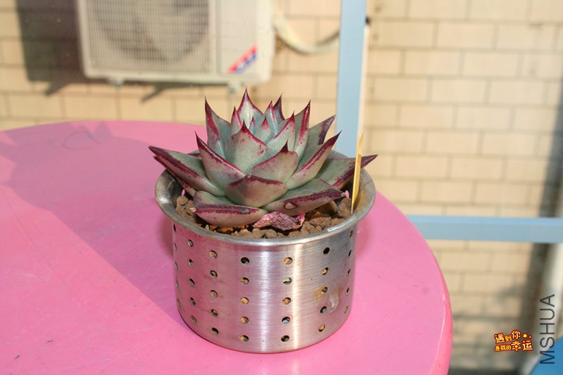 ��Ƭ 219_����.jpg