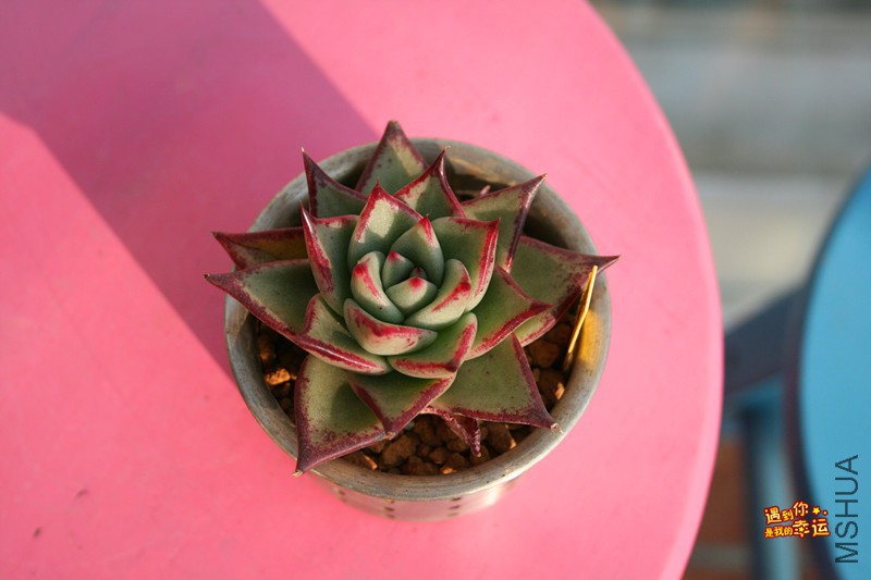 ��Ƭ 220_����.jpg