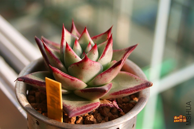 ��Ƭ 225_����.jpg