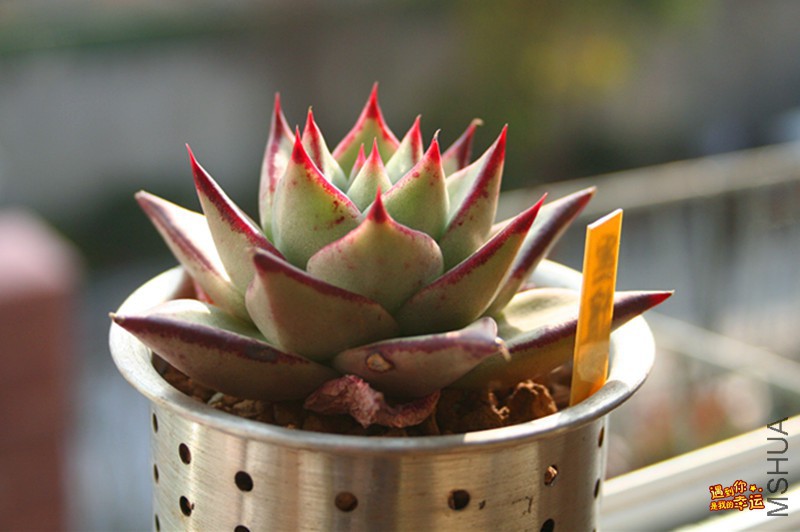 ��Ƭ 222_����.jpg