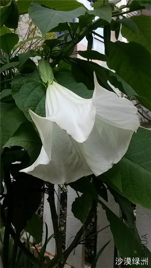 20151026_102855_����_����.jpg