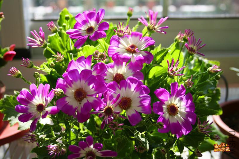 ��Ƭ 064_����.jpg