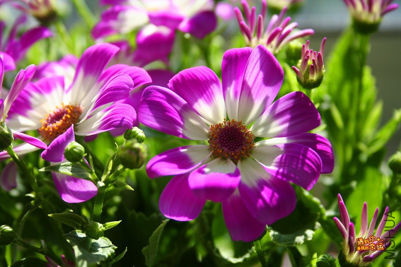 ��Ƭ 067_����.jpg